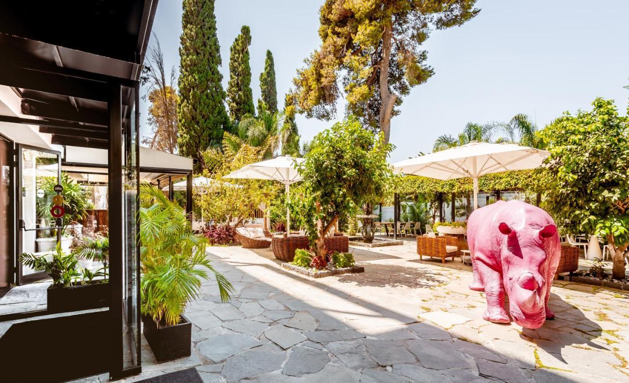 Lear Sense Hotel Gedera Zewnętrze zdjęcie